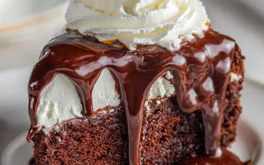 Hot Fudge Chocolate Pudding Cake